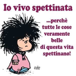 vivo spettinata