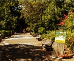 1206_Giardini_Pubblici-crop